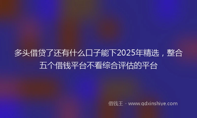 多头借贷了还有什么口子能下2025年精选，整合五个借钱平台不看综合评估的平台