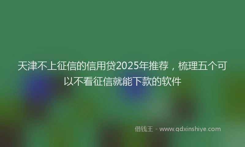 天津不上征信的信用贷2025年推荐，梳理五个可以不看征信就能下款的软件