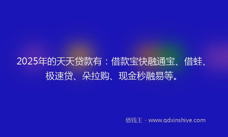 2025年的天天贷款有：借款宝快融通宝、借蛙、极速贷、朵拉购、现金秒融易等。