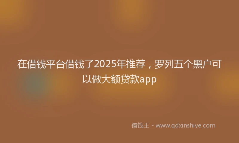 在借钱平台借钱了2025年推荐，罗列五个黑户可以做大额贷款app