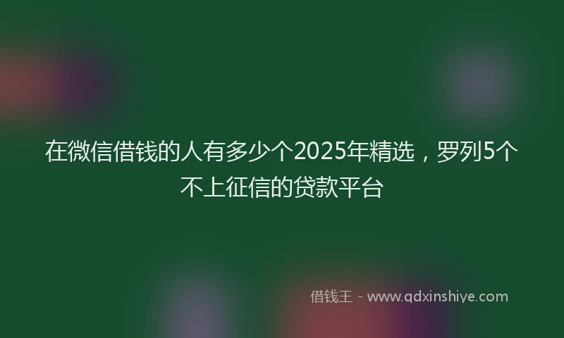 在微信借钱的人有多少个2025年精选,罗列5个不上征信的贷款平台