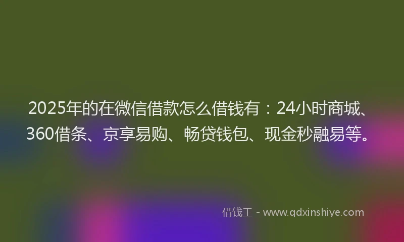 2025年的在微信借款怎么借钱有：24小时商城、360借条、京享易购、畅贷钱包、现金秒融易等。
