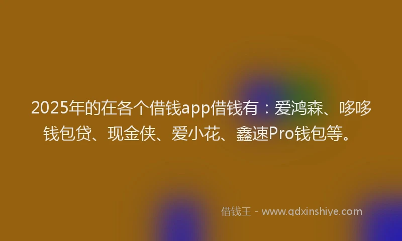 2025年的在各个借钱app借钱有：爱鸿森、哆哆钱包贷、现金侠、爱小花、鑫速Pro钱包等。