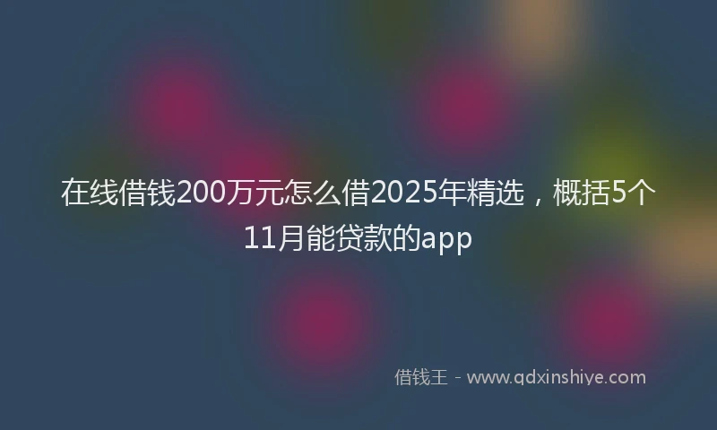 在线借钱200万元怎么借2025年精选，概括5个11月能贷款的app