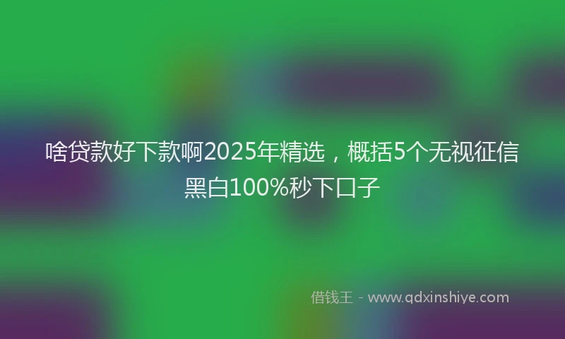 啥贷款好下款啊2025年精选，概括5个无视征信黑白100%秒下口子