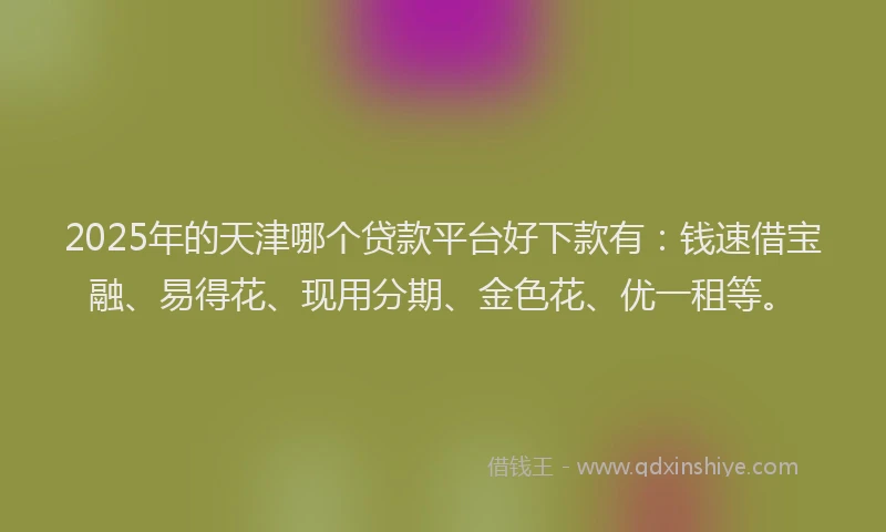 2025年的天津哪个贷款平台好下款有：钱速借宝融、易得花、现用分期、金色花、优一租等。