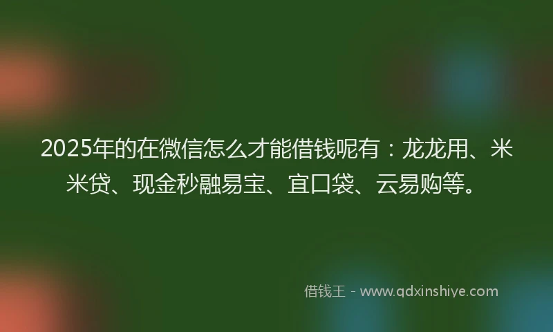 2025年的在微信怎么才能借钱呢有：龙龙用、米米贷、现金秒融易宝、宜口袋、云易购等。
