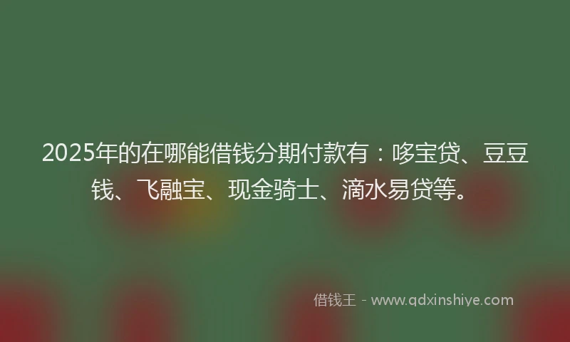 2025年的在哪能借钱分期付款有：哆宝贷、豆豆钱、飞融宝、现金骑士、滴水易贷等。