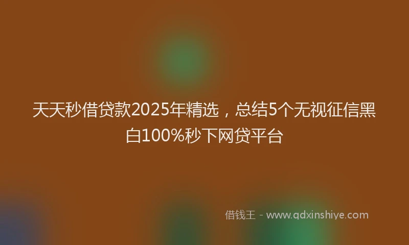 天天秒借贷款2025年精选，总结5个无视征信黑白100%秒下网贷平台