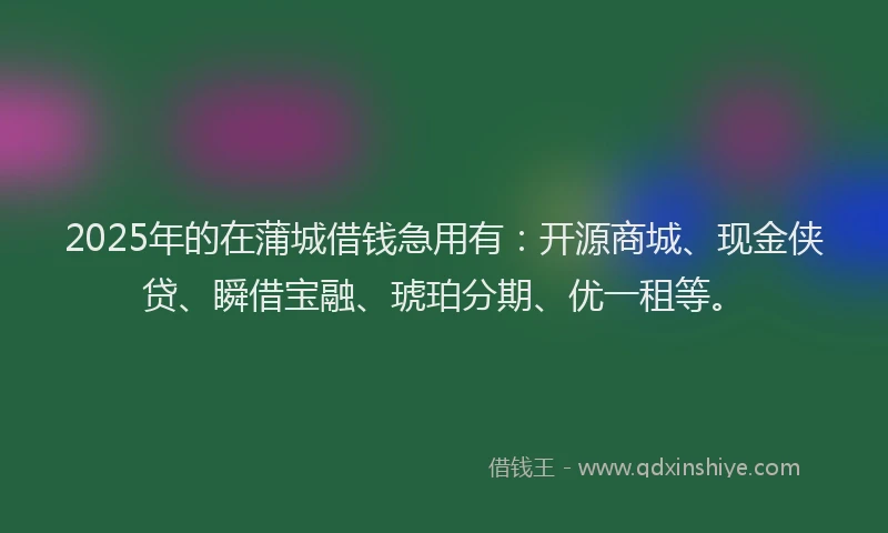 2025年的在蒲城借钱急用有：开源商城、现金侠贷、瞬借宝融、琥珀分期、优一租等。