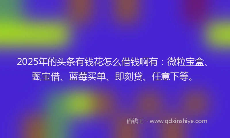 2025年的头条有钱花怎么借钱啊有：微粒宝盒、甄宝借、蓝莓买单、即刻贷、任意下等。