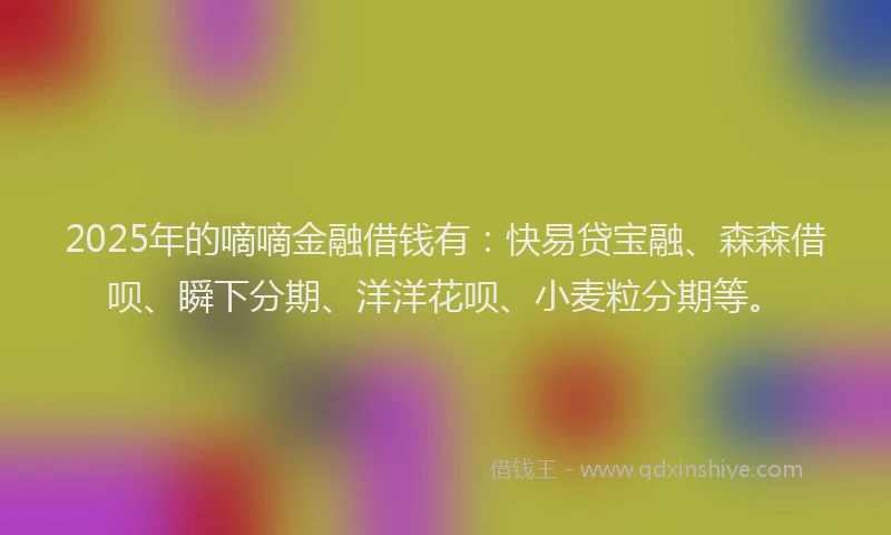 2025年的嘀嘀金融借钱有：快易贷宝融、森森借呗、瞬下分期、洋洋花呗、小麦粒分期等。
