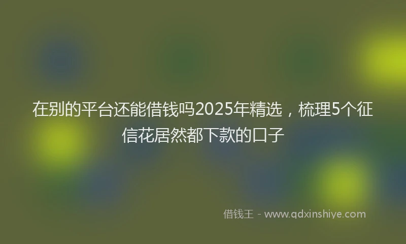 在别的平台还能借钱吗2025年精选，梳理5个征信花居然都下款的口子