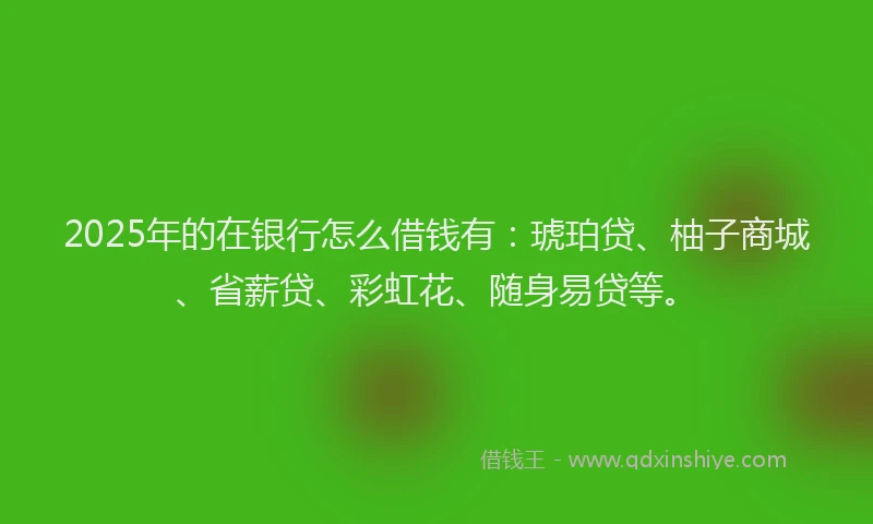 2025年的在银行怎么借钱有：琥珀贷、柚子商城、省薪贷、彩虹花、随身易贷等。