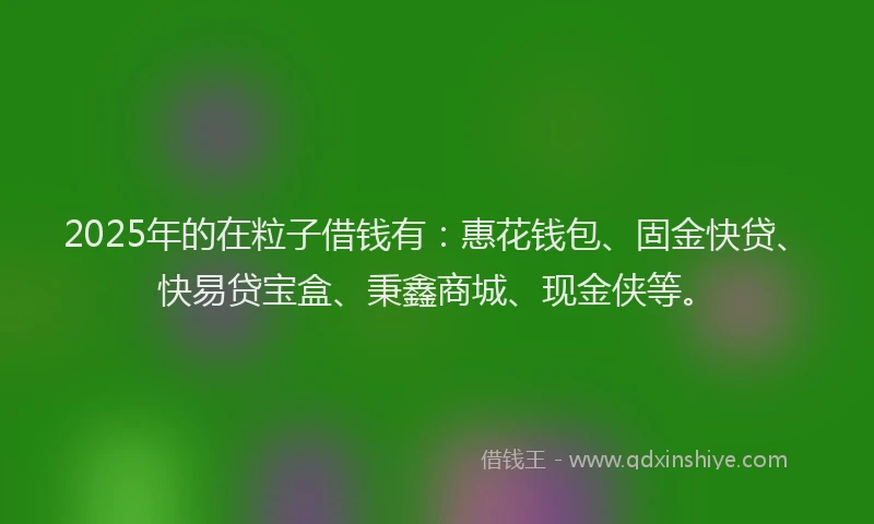 2025年的在粒子借钱有：惠花钱包、固金快贷、快易贷宝盒、秉鑫商城、现金侠等。