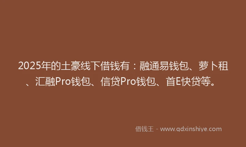 2025年的土豪线下借钱有：融通易钱包、萝卜租、汇融Pro钱包、信贷Pro钱包、首E快贷等。
