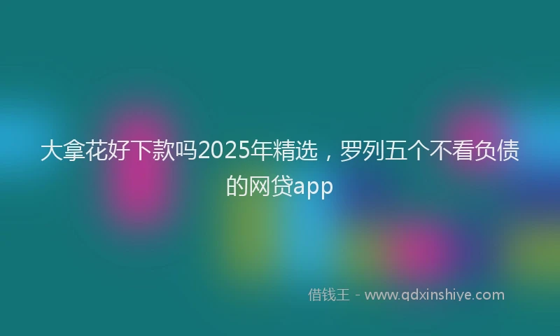 大拿花好下款吗2025年精选，罗列五个不看负债的网贷app