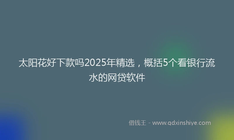 太阳花好下款吗2025年精选，概括5个看银行流水的网贷软件