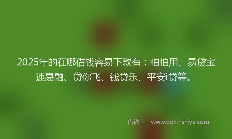 2025年的在哪借钱容易下款有:拍拍用、易贷宝速易融、贷你飞、钱贷乐、平安i贷等。