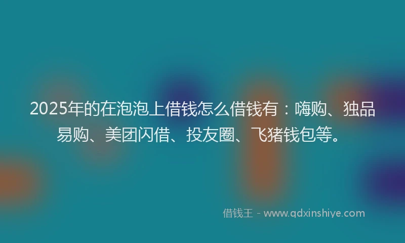 2025年的在泡泡上借钱怎么借钱有：嗨购、独品易购、美团闪借、投友圈、飞猪钱包等。