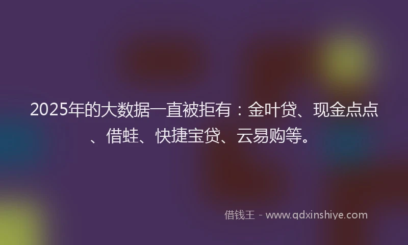 2025年的大数据一直被拒有：金叶贷、现金点点、借蛙、快捷宝贷、云易购等。