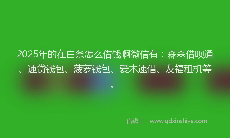 2025年的在白条怎么借钱啊微信有：森森借呗通、速贷钱包、菠萝钱包、爱木速借、友福租机等。
