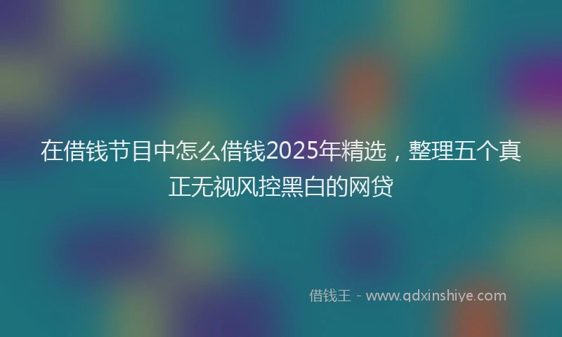 在借钱节目中怎么借钱2025年精选，整理五个真正无视风控黑白的网贷