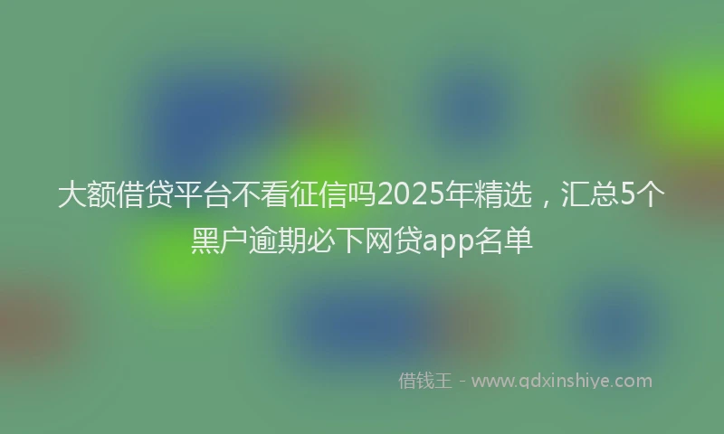 大额借贷平台不看征信吗2025年精选，汇总5个黑户逾期必下网贷app名单