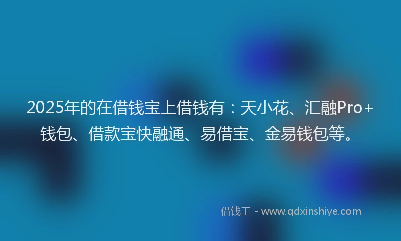 2025年的在借钱宝上借钱有：天小花、汇融Pro+钱包、借款宝快融通、易借宝、金易钱包等。