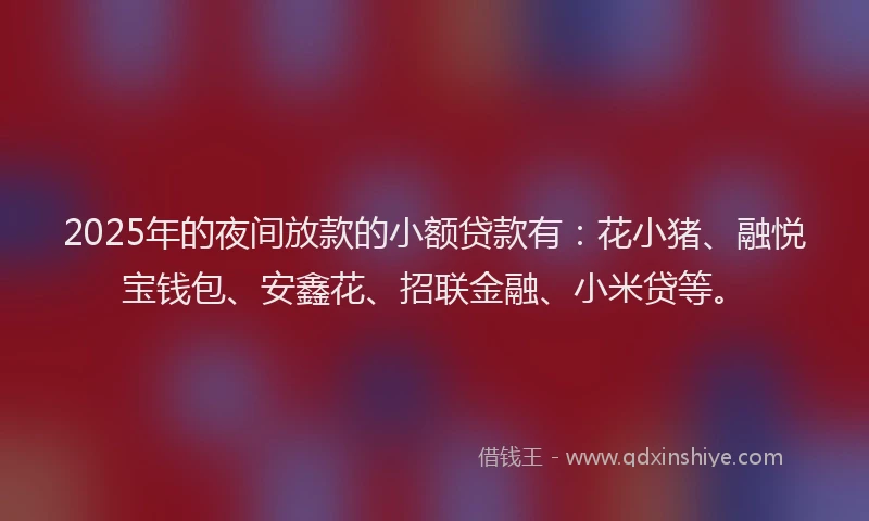 2025年的夜间放款的小额贷款有：花小猪、融悦宝钱包、安鑫花、招联金融、小米贷等。