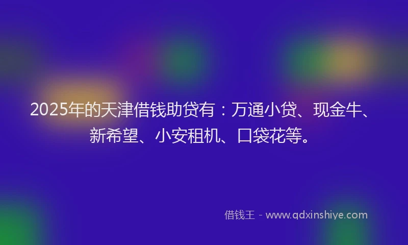 2025年的天津借钱助贷有：万通小贷、现金牛、新希望、小安租机、口袋花等。
