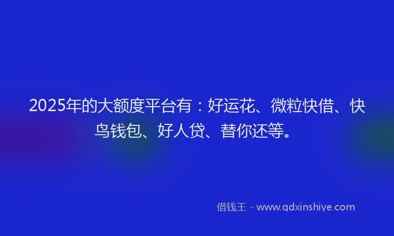 2025年的大额度平台有：好运花、微粒快借、快鸟钱包、好人贷、替你还等。