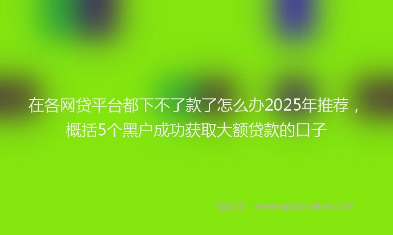 在各网贷平台都下不了款了怎么办2025年推荐，概括5个黑户成功获取大额贷款的口子