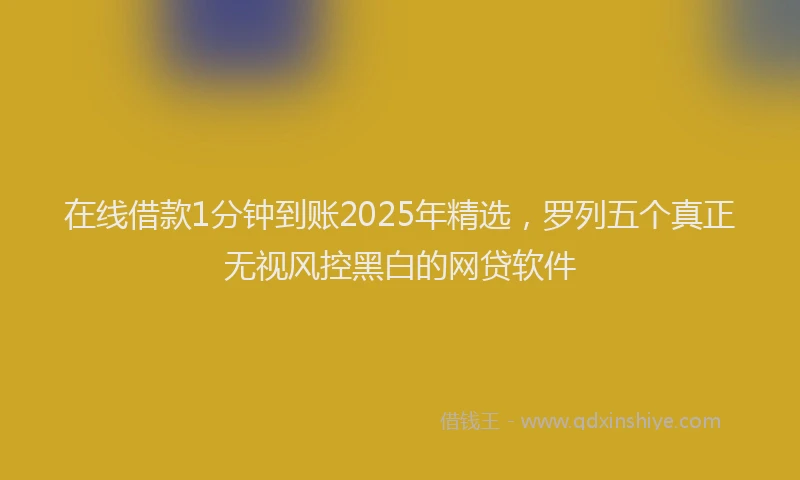 在线借款1分钟到账2025年精选，罗列五个真正无视风控黑白的网贷软件
