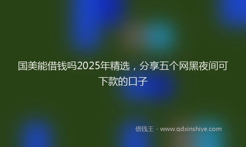 国美能借钱吗2025年精选，分享五个网黑夜间可下款的口子