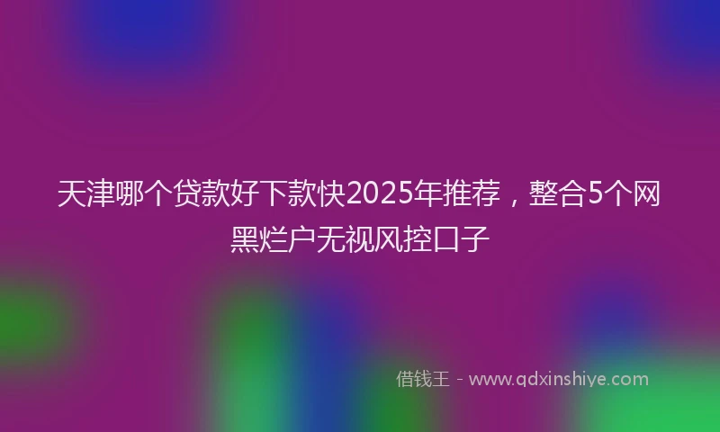 天津哪个贷款好下款快2025年推荐，整合5个网黑烂户无视风控口子