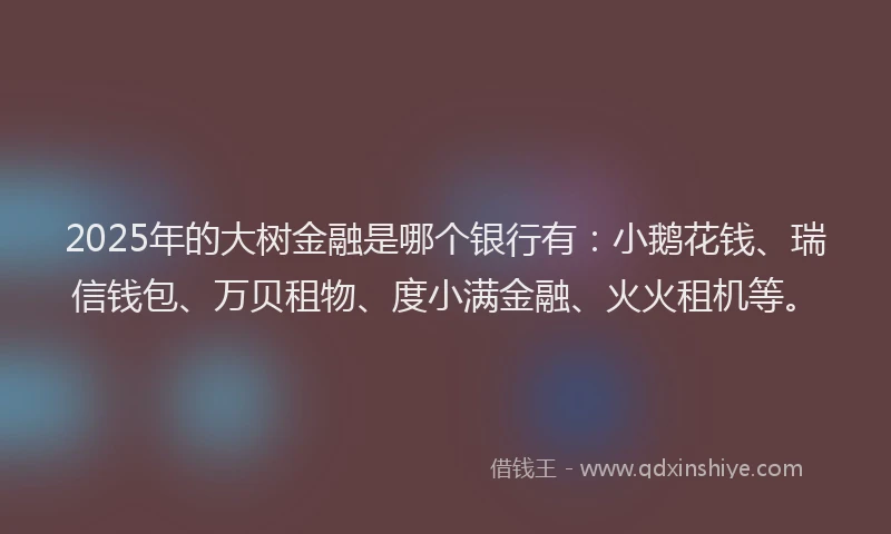 2025年的大树金融是哪个银行有：小鹅花钱、瑞信钱包、万贝租物、度小满金融、火火租机等。