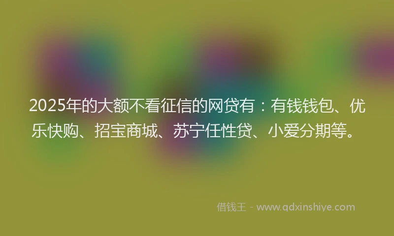 2025年的大额不看征信的网贷有：有钱钱包、优乐快购、招宝商城、苏宁任性贷、小爱分期等。