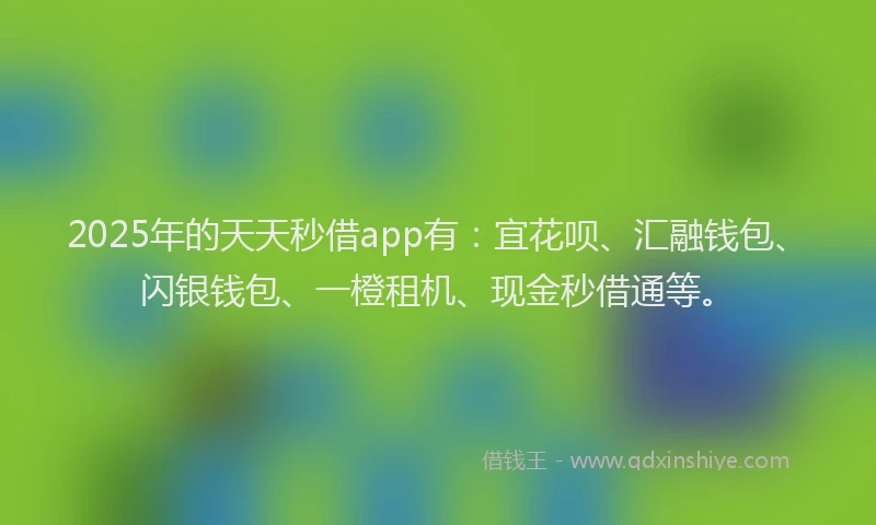 2025年的天天秒借app有：宜花呗、汇融钱包、闪银钱包、一橙租机、现金秒借通等。