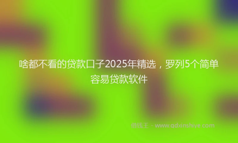 啥都不看的贷款口子2025年精选，罗列5个简单容易贷款软件