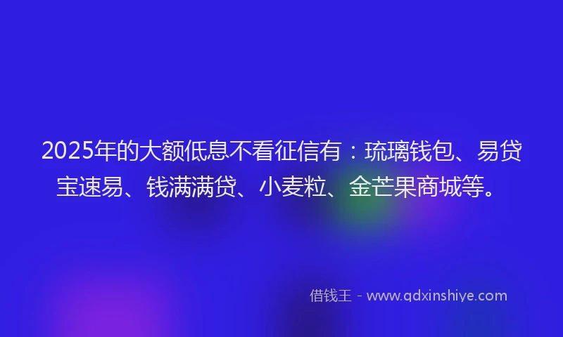 2025年的大额低息不看征信有：琉璃钱包、易贷宝速易、钱满满贷、小麦粒、金芒果商城等。