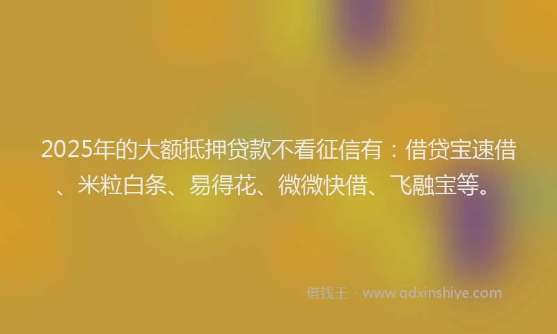 2025年的大额抵押贷款不看征信有：借贷宝速借、米粒白条、易得花、微微快借、飞融宝等。