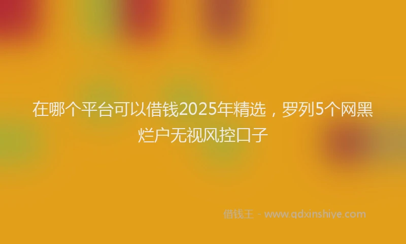 在哪个平台可以借钱2025年精选，罗列5个网黑烂户无视风控口子