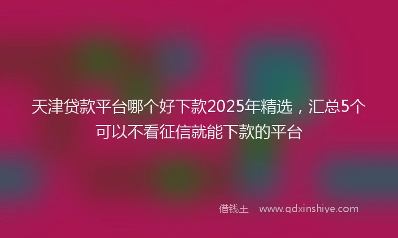 天津贷款平台哪个好下款2025年精选,汇总5个可以不看征信就能下款的平台