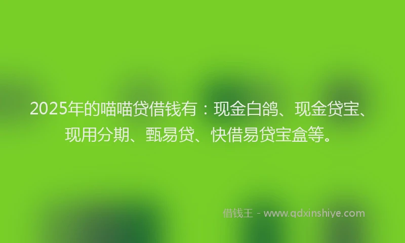 2025年的喵喵贷借钱有：现金白鸽、现金贷宝、现用分期、甄易贷、快借易贷宝盒等。