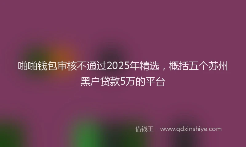 啪啪钱包审核不通过2025年精选，概括五个苏州黑户贷款5万的平台