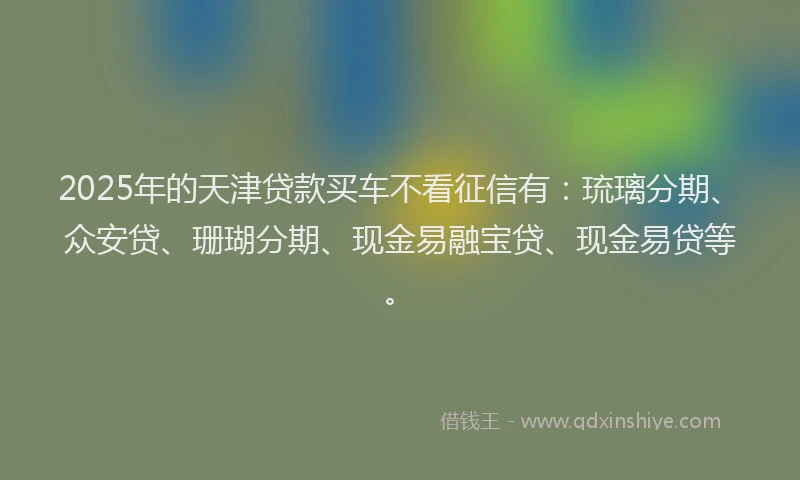 2025年的天津贷款买车不看征信有：琉璃分期、众安贷、珊瑚分期、现金易融宝贷、现金易贷等。