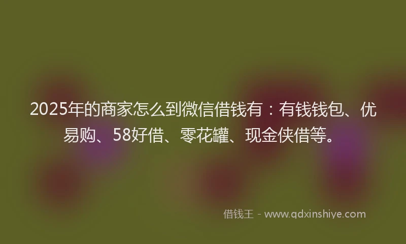 2025年的商家怎么到微信借钱有：有钱钱包、优易购、58好借、零花罐、现金侠借等。