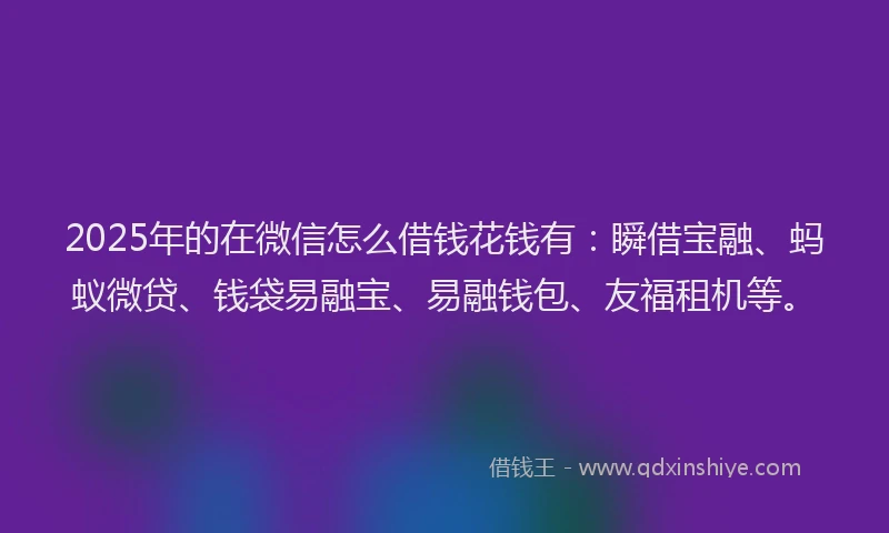 2025年的在微信怎么借钱花钱有：瞬借宝融、蚂蚁微贷、钱袋易融宝、易融钱包、友福租机等。