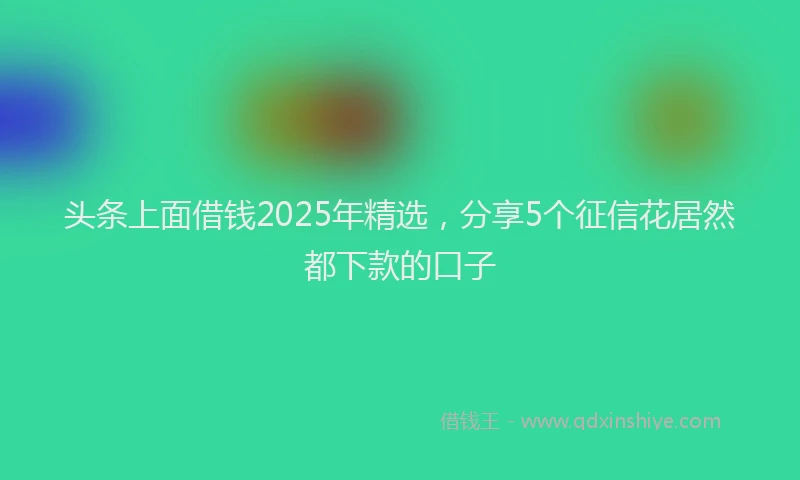 头条上面借钱2025年精选，分享5个征信花居然都下款的口子